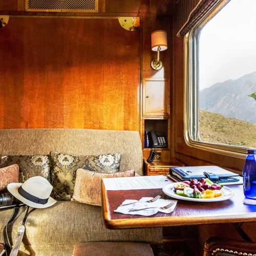 Blue Train cabin seat